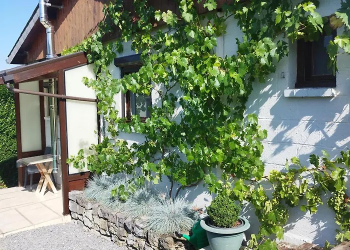 Au Grimp'han Han-sur-Lesse